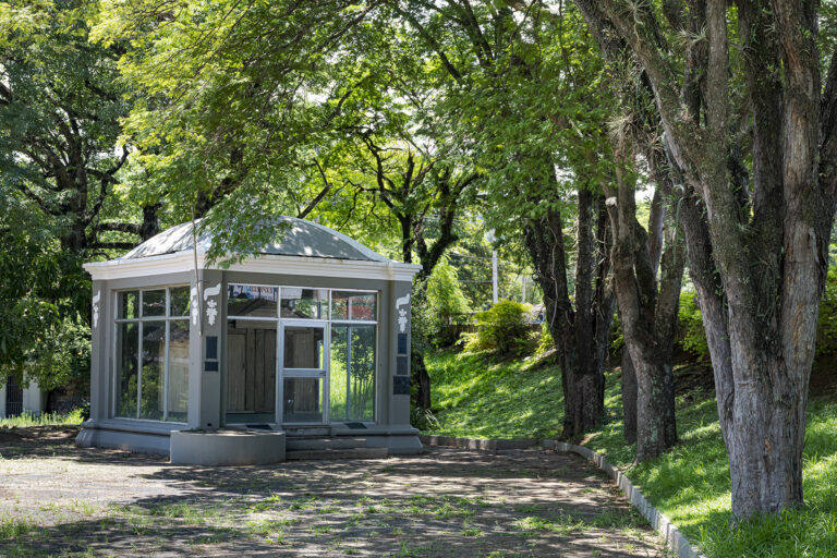 cabana de zinco e sarrafos